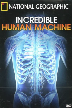 Невероятное тело человека  онлайн