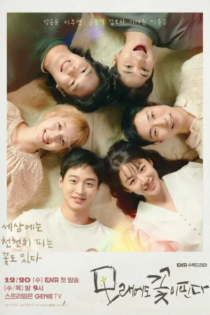 Песчаный цветок 1 сезон онлайн